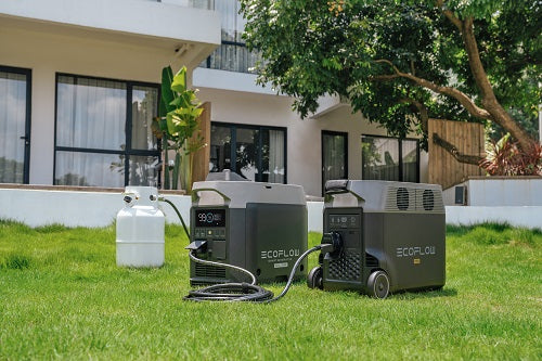 Special Bundle: EcoFlow DELTA Pro and EcoFlow Smart Generator (Dual Fuel)